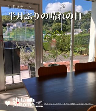 朝からたっぷりの日差し🌞 アイキャッチ画像