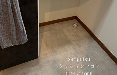 2024-12/img-0285