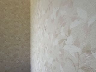 2025-06/1750753650_img-6566