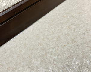 2025-11/1761960325_img-3467