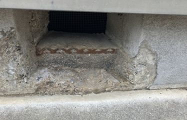 2026-04/1775276604_img-4585