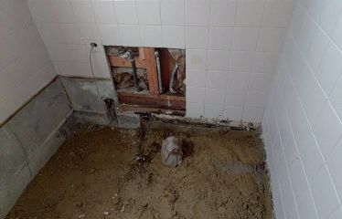 2026-06/img-7772