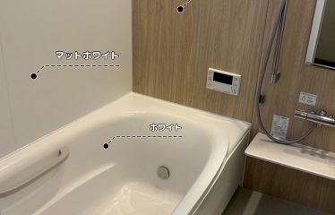 2026-06/img-7776