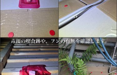 2026-08/f0eb9cd4-264c-492e-a4dd-f7a19dbd3216