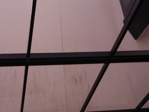 テラス屋根ポリカ交換工事 アイキャッチ画像